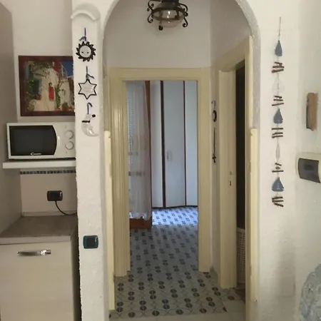 Happy Penna ヴァスト